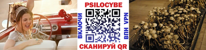 Галлюциногенные грибы прущие грибы  где можно купить   blacksprut tor  Ефремов 